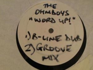 Hud-2 vinyl photos 3735