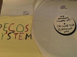 Hud-2 vinyl photos 3736