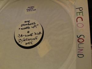 Hud-2 vinyl photos 3737