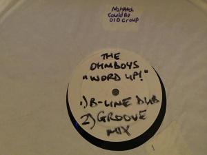 Hud-2 vinyl photos 3739