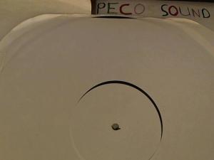 Hud-2 vinyl photos 3745