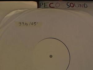 Hud-2 vinyl photos 3748