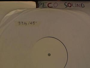 Hud-2 vinyl photos 3749