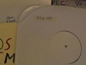 Hud-2 vinyl photos 3751