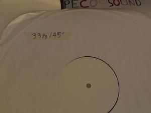 Hud-2 vinyl photos 3753