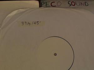 Hud-2 vinyl photos 3754
