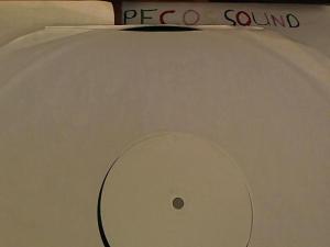 Hud-2 vinyl photos 3756