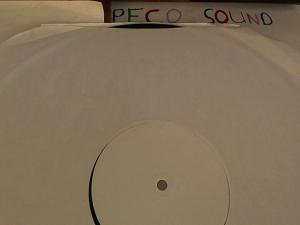 Hud-2 vinyl photos 3757