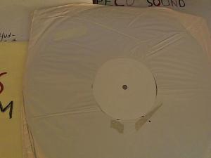 Hud-2 vinyl photos 3786