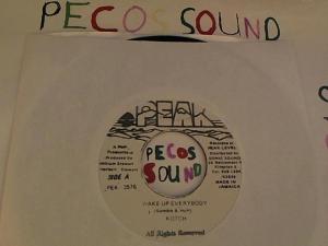 Hud-2 vinyl photos 3835