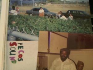 Hud-2 vinyl photos 4244