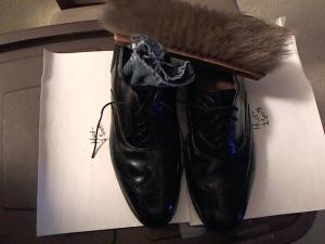 Hud-2 vinyl photos 4291