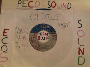 Hud-2 vinyl photos 4453