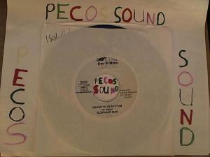 Hud-2 vinyl photos 4466