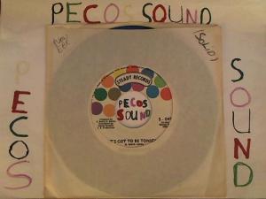 Hud-2 vinyl photos 4508