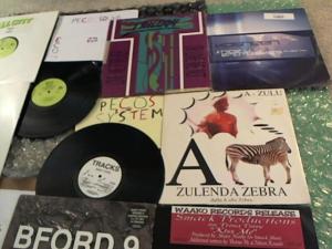 Hud-2 vinyl photos 4790