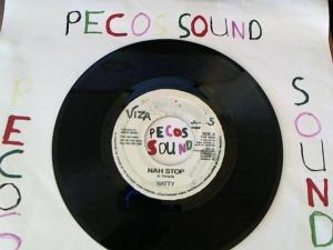 Hud-2 vinyl photos 4864