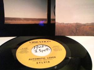 Hud-2 vinyl photos 5080