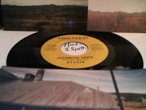 Hud-2 vinyl photos 5081