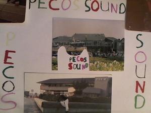 Hud-2 vinyl photos 1807