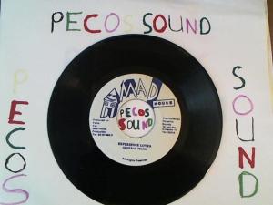 Hud-2 vinyl photos 2067