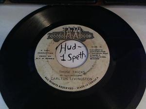 Hud-2 vinyl photos 2410