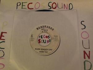 Hud-2 vinyl photos 4020