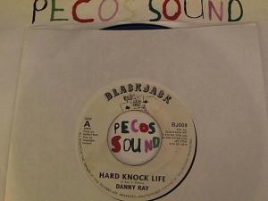 Hud-2 vinyl photos 4021