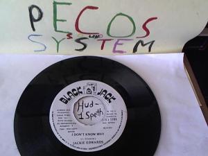 Hud-2 vinyl photos 713