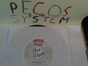 Hud-2 vinyl photos 814