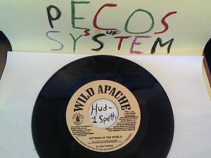 Hud-2 vinyl photos 850