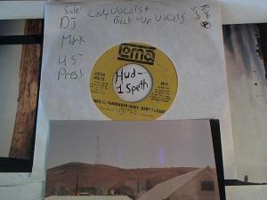 Hud-2 vinyl photos 3213