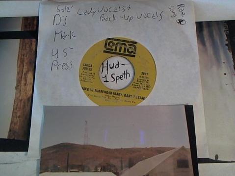 Hud-2 vinyl photos 3213