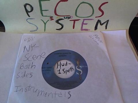 Hud-2 vinyl photos 354