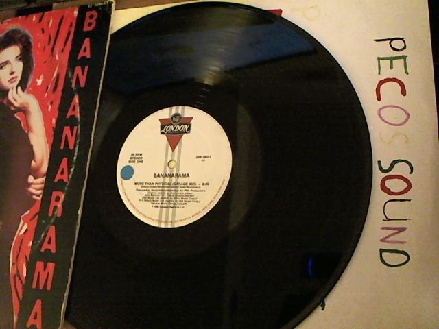 Hud-2 vinyl photos 3903