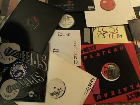 Hud-2 vinyl photos 3976