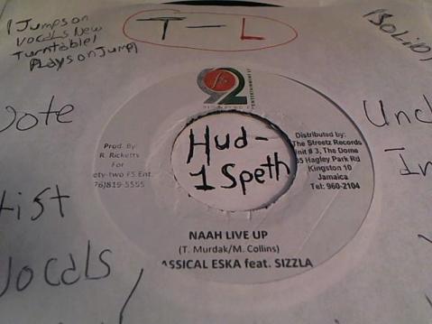 Hud-2 vinyl photos 5051