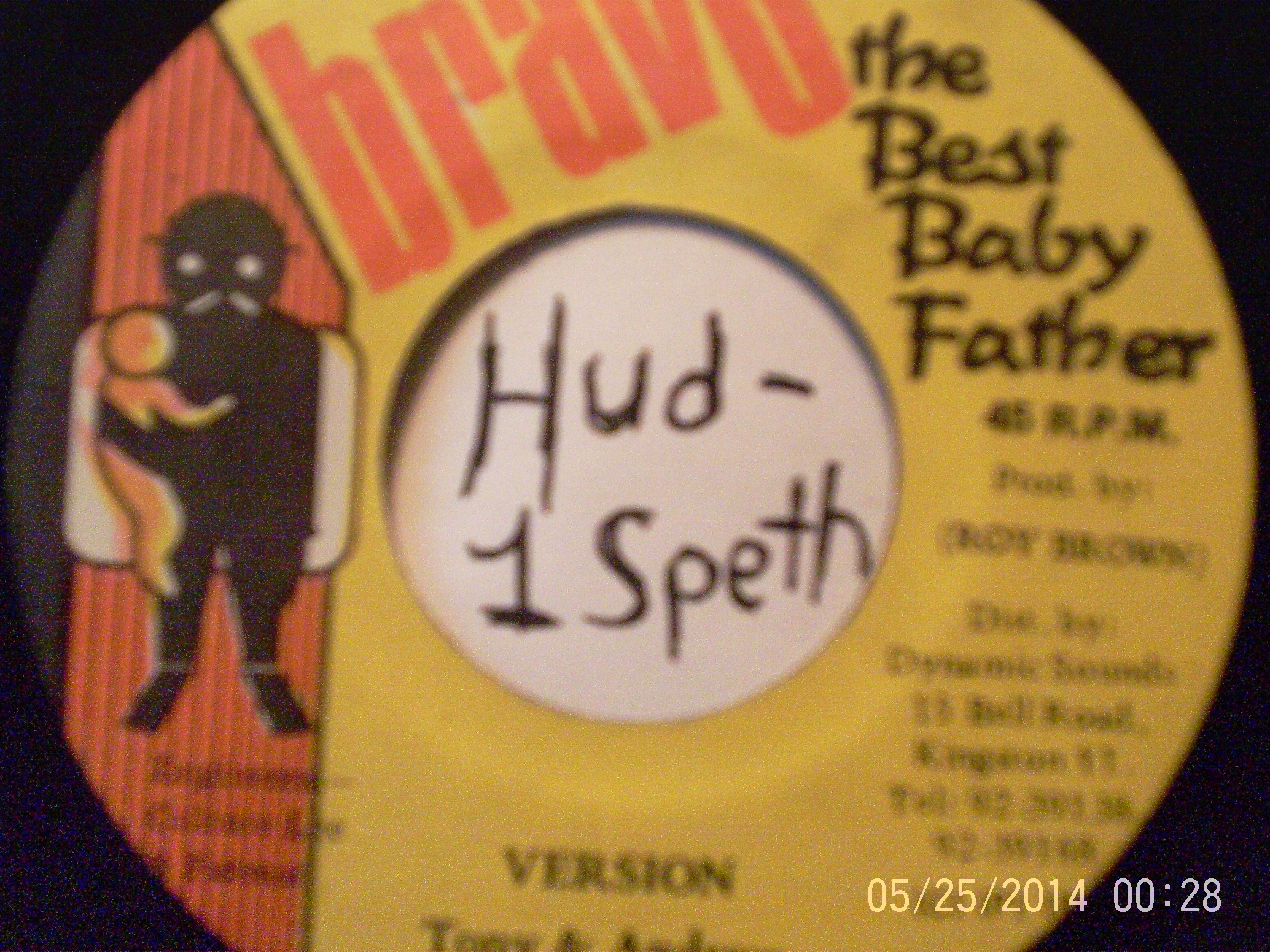 Hud-1 vinyl photos 065