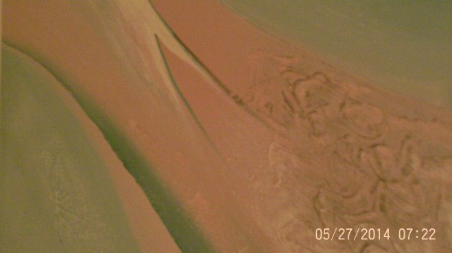 Hud-1 vinyl photos 1353