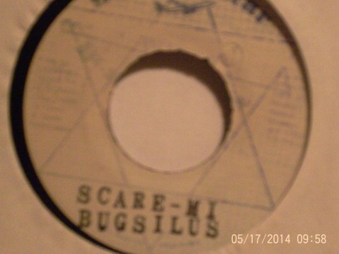 Hud-1 vinyl photos 166