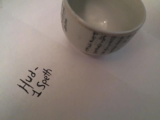 Hud-2 vinyl photos 050