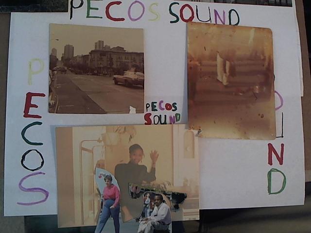 Hud-2 vinyl photos 1410