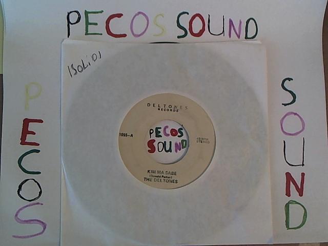 Hud-2 vinyl photos 1482