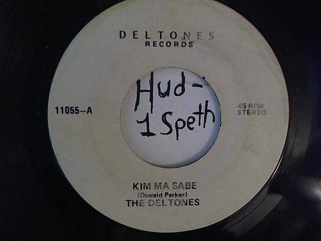 Hud-2 vinyl photos 1496