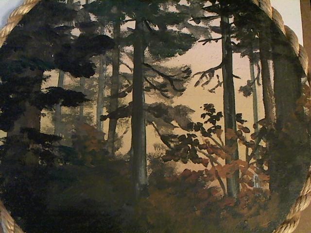 Hud-2 vinyl photos 1619