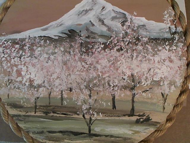 Hud-2 vinyl photos 1622