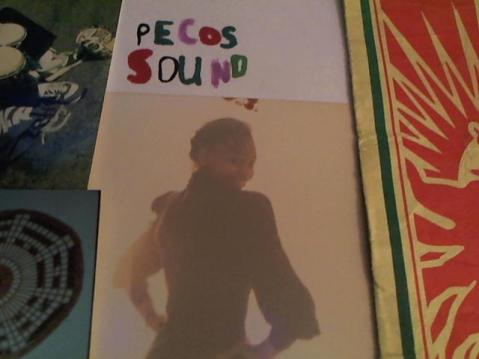 Hud-2 vinyl photos 1825