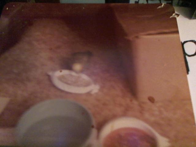 Hud-2 vinyl photos 1843