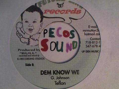 Hud-2 vinyl photos 2191