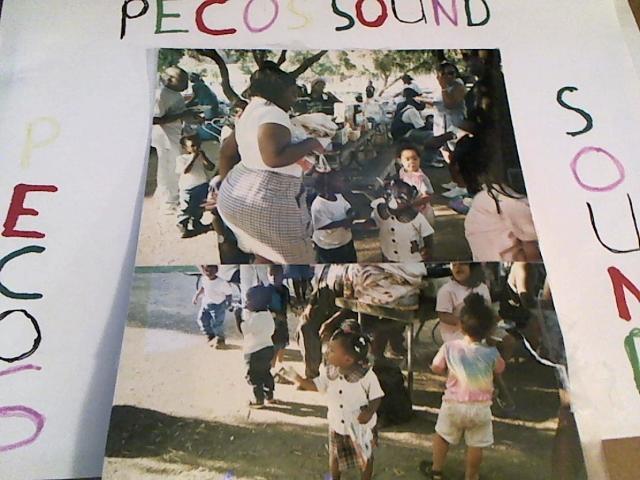 Hud-2 vinyl photos 2863